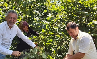 Dr. Mustafa Adıgüzel, Fındık Bahçesinden Seslendi