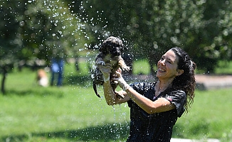 Konyaaltı'nda Köpekler banyo seansıyla serinledi