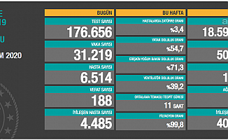 Hasta sayısı yarım milyonu geçti