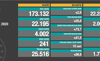 Koronavirüse 241 can daha