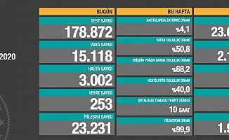 Koronavirüse 253 can daha