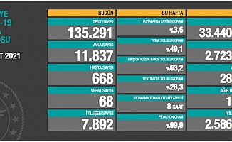 Koronavirüse 68 can daha