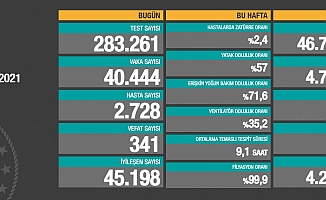 Koronavirüse 341 can daha