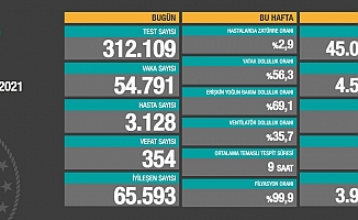 Koronavirüse 354 can daha