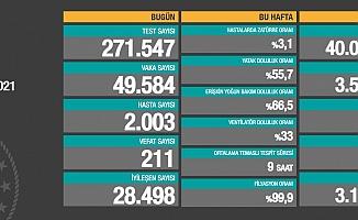 Vaka sayısı 49 bini geçti