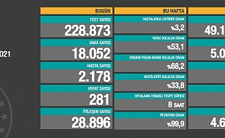 Koronavirüse 281 can daha