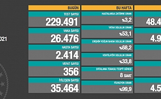 Koronavirüse 356 can daha