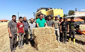 Saman Fiyatları 'Altın' Gibi...