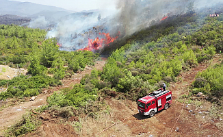 Sayıştay: Orman Genel Müdürlüğü, Orman Yangın Planlarını Tamamlamadı
