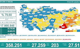 Türkiye'de koronavirüsten 203 kişi daha hayatını kaybetti