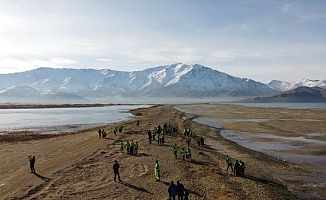 Van Gölü'nde endişelendiren görüntü