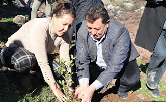 Alban: "Muğla Küllerinden Doğuyor"