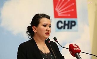 CHP'li Gökçen: "LGBTİ hakları insan haklarıdır"