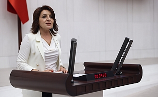 CHP’li Kış: "Şimşek Tasarruf Diyor, Çevre Bakanı Gökdelen Kiralıyor"