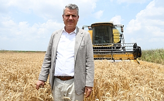 Ayhan Barut'tan Açıklanan Buğday Taban Fiyatına Sert Tepki