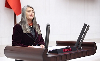 Sibel Suiçmez: “DOKAP Hedeflerine Ulaşılamadı”