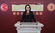 Gülcan Kış: “22 Yıllık Yönetimin İtirafı: Ekonomik Kriz Sizin Eseriniz”